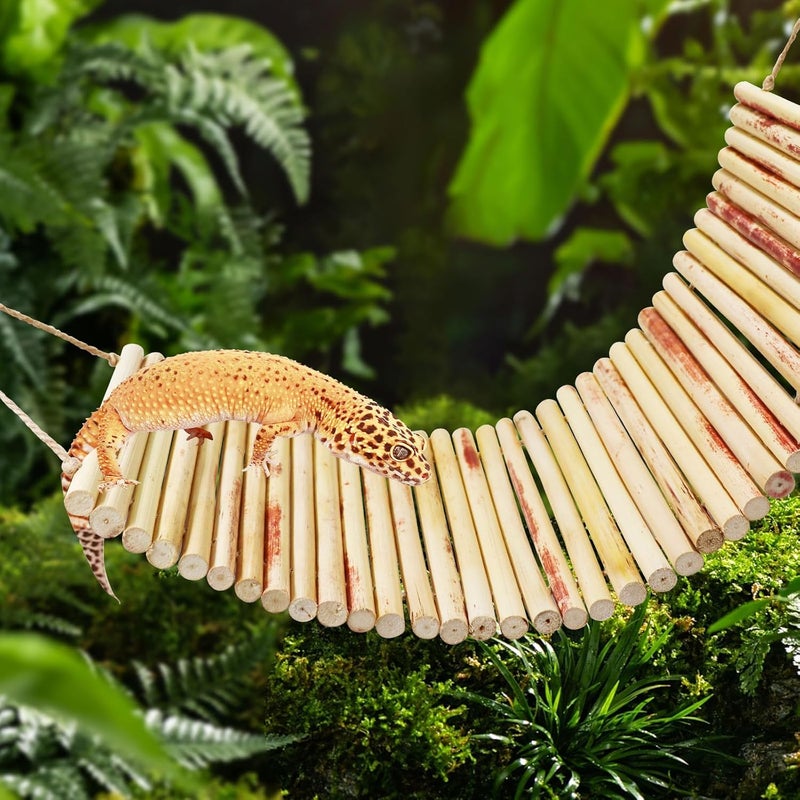 Neeenn Lizard Climbing Toys, Natural Material Reptile Ladder Bridge Toys, Reptile Tank Accessories, Suitable for Lizard Bearded Dragon Hermit Crab Bird Parrot Snake 16.1 x 6.7 Inches - Image 3
